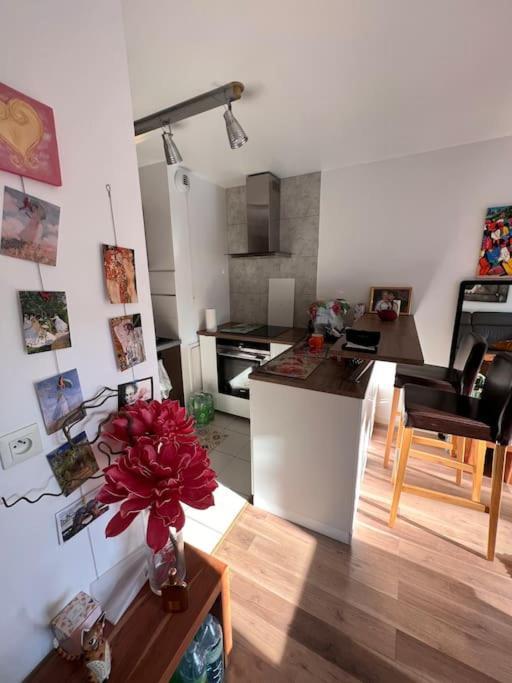 Appart 2 Chambres 17 Min De Paris Рони-су-Боа Екстериор снимка